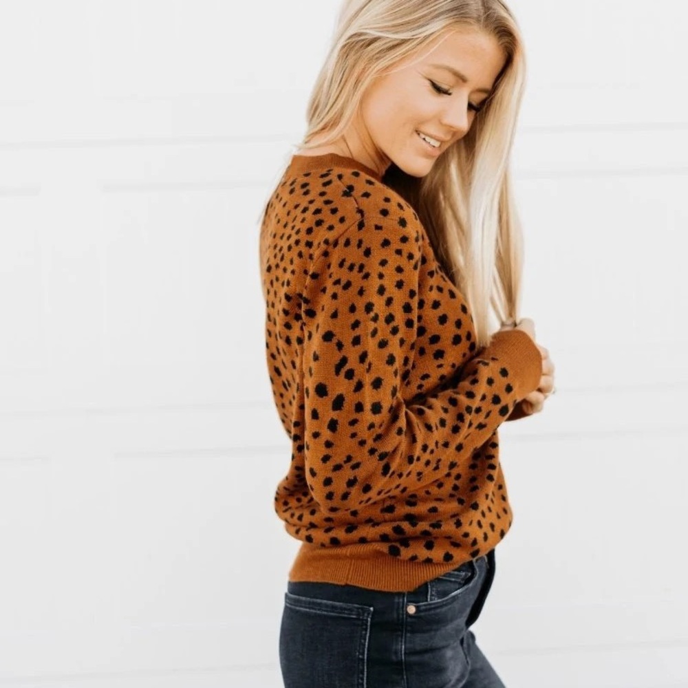 TEDDY COZY SWEATER - SAFARI DOT